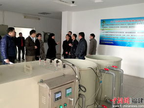 福建國資公司主動作為探新路 困難國企如何通過技術開發實現戰略重組